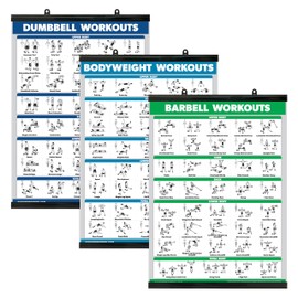 Palace Learning QUICKFIT 3 Pack - Dumbbell Workouts + Bodyweight Exercises + Barbell Routine Poster Set - Set of 3 Workout Charts (Laminated WITH PLASTIC FRAME, 18" x 24")