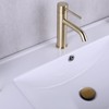 Brushed Gold Pop Up Bathroom Sink Drain with Overflow,Bathroom Vessel