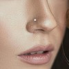 Labret Piercing 16g (1.2mm) - G23 Titanium Pin with 3