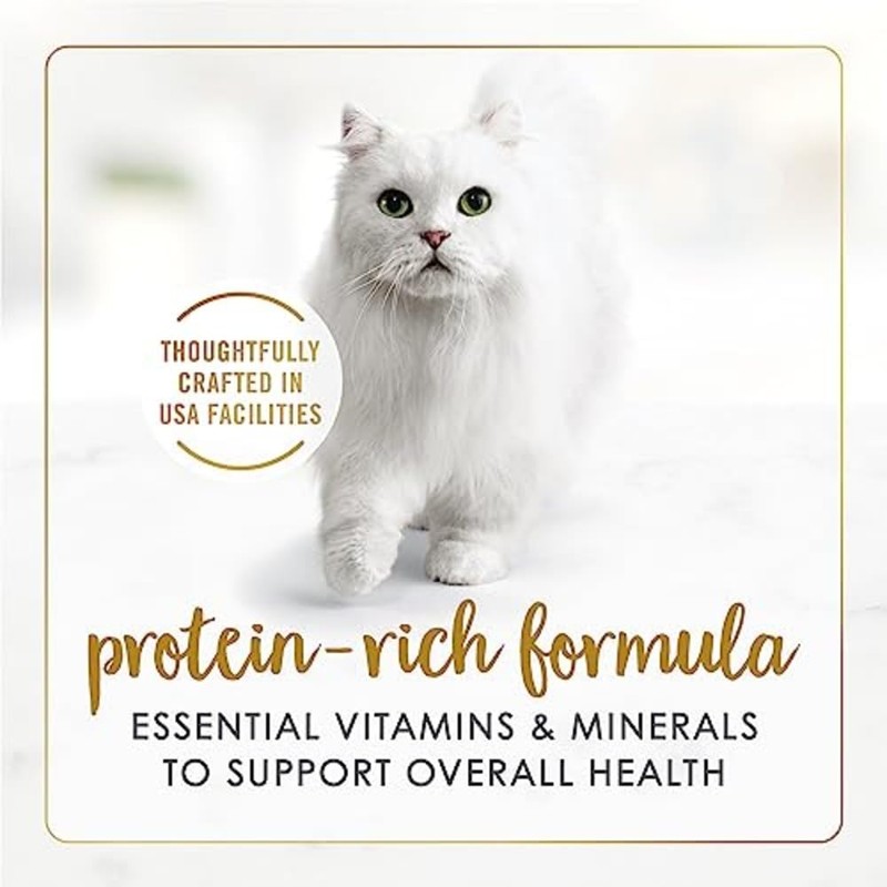 Purina Fancy Feast Gravy Lovers Poultry and Beef Grilled Gourmet