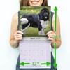 Newfoundland Calendar 2020 - Dog Breed Calendar - Wall Calendar