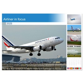 Airliner in focus (Monthly Wall Calendar 2025 16.5" x 23.4" (open)), CALVENDO 14 Month Calendar