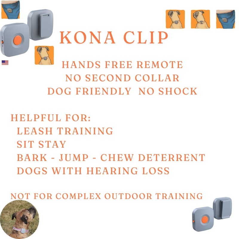 Dog Training Collar with Remote Controller - E Collar for