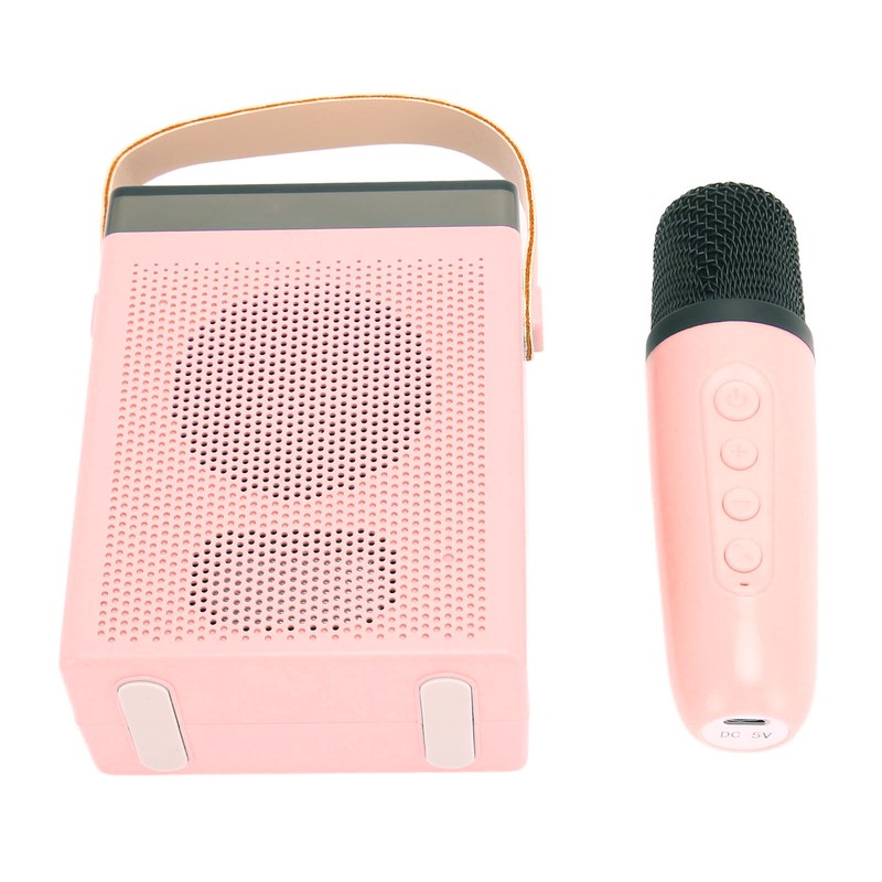 Karaoke Machine Set with RGB Light Rechargeable Bluetooth Speaker with