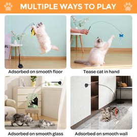 12Pcs Cat Toys,Interactive Cat Toys with 1 Super Suction Cup,2Pcs Cat Wand Stick Toy,9Pcs Detachable Bird Feather Worm Butterfly Pet Teaser with Bell for Cats Kitty,Indoor Cat Kitten Feather Toys Kits