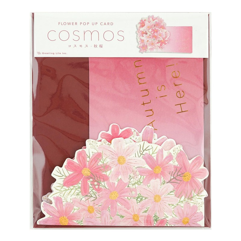 Greeting Life Autumn Autumn Cards Flower Pop-Up Cosmos LY-44 Pink
