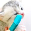 2 Pcs Tear Stain Remover Comb, Pets Brush for Tear