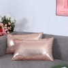 Eternal Beauty Set of 2 Sequin Decorative Pillow Cover Rose