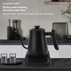 1L Electric Kettle, Smart Electric Kettle with Thermometer, Stainless Steel Hot Water Boiler, 1200W Fast Boiling, Pour Over Kettle for Tea Coffee (US Plug 110V)