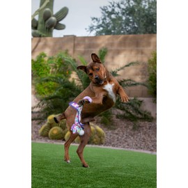 Multipet Cuddle Bunnies Unicorn Ball Head