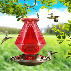 Auslar Hummingbird Feeders for Outdoors Hanging, Red Glass Hummingbird Feeder with 5 Feeding Ports & 5 Perches, 23 Ounces, Rustproof, Leakproof, Geometric Line Shapes