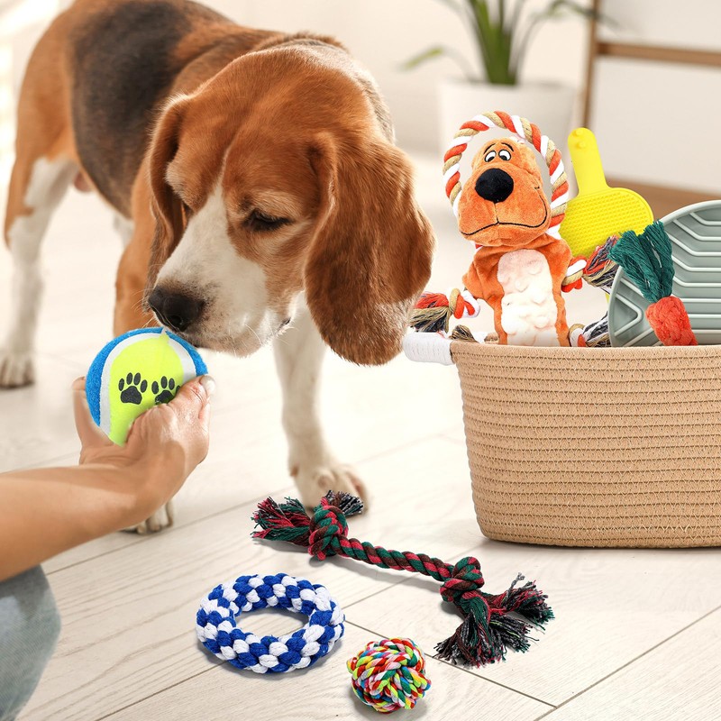 Abbylike New Puppy Gift Basket Puppy Starter Kit with Dog