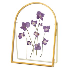 REDHUGO Double Glass Frame for Pressed Flowers Handmade, Metal Floating Picture Frame for Pressed Flower, Tabletop Display, Brass, ArcShaped, Gold, 5x7 inches (FRAME ONLY)