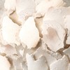 Donguihanjae 동의한재 중국산 햇 백복령 600g Dongi Hanjai Chinese Fresh