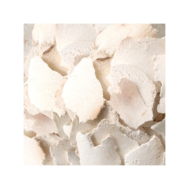 Donguihanjae 동의한재 중국산 햇 백복령 600g Dongi Hanjai Chinese Fresh