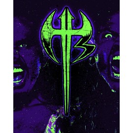 WWE WRESTLEMANIA 41 VEGAS 16”x20” POSTER PRINT THE HARDY BOYS MATT JEFF HARDY