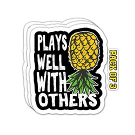 IMPERIAL VIBES – Plays Well with Others Sticker – Vinyl Decal for Car, Truck, and Van – Removable Indoor & Outdoor Use for Laptop Sticker – Waterproof Decal for Window and Toys – (Pack of 3) Imp 18