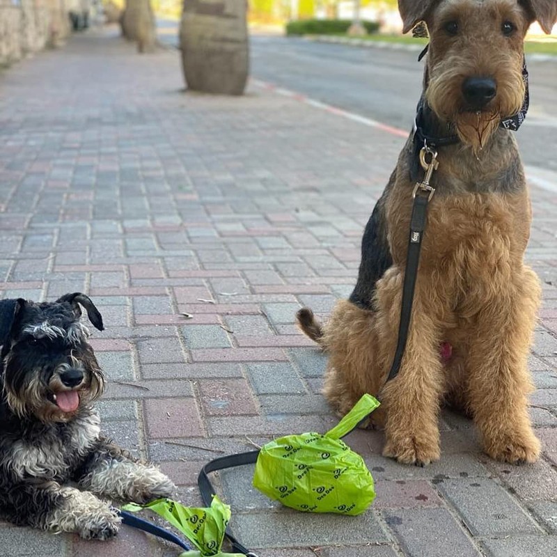 Dog Poo Bags with Handles 50% Recycle Material 50% Cornstarch