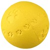 Trixie Natural Rubber Toy Dog Ball with Sound, 7 cm-