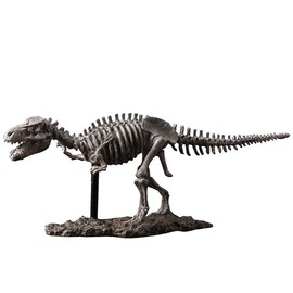 siqiaole Dinosaur Fossil Statue | Simulated Dinosaur Skeleton Model | Resin T-Rex Skull Archaeological Material | Home Dinosaur Fossil Exhibition Decoration (T. rex fossil)