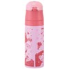 Skater KSDC4 Girls Direct Drinking Stainless Steel Water Bottle, 16.5