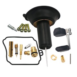 XV250 Carburetor Repair Kit, Compatible with Yamaha Virago250 XV250, with float and vacuum piston