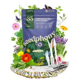 Seedphony 35 Medicinal & Tea Herb Seeds Variety Green, Violet, Purple, Pink