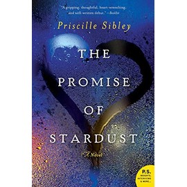 The Promise of Stardust