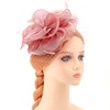 DRESHOW Fascinators Royal Banquet Ribbons Feathers Headwear with Mesh Veil