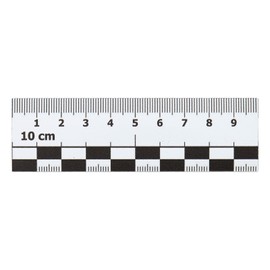 Smileyboard Photo Scale Magnet - 10cm Car Magnet for Damage Identification - Ideal for Experts & Appraisers