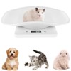 Digital Pet Scale 10kg/1g High Precision Small Pet Cat Weighing