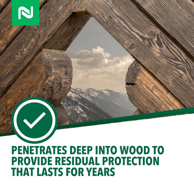 Bora-Care with Mold-Care Moldicide Concentrate, Wood Protection Against Mold, Termites,