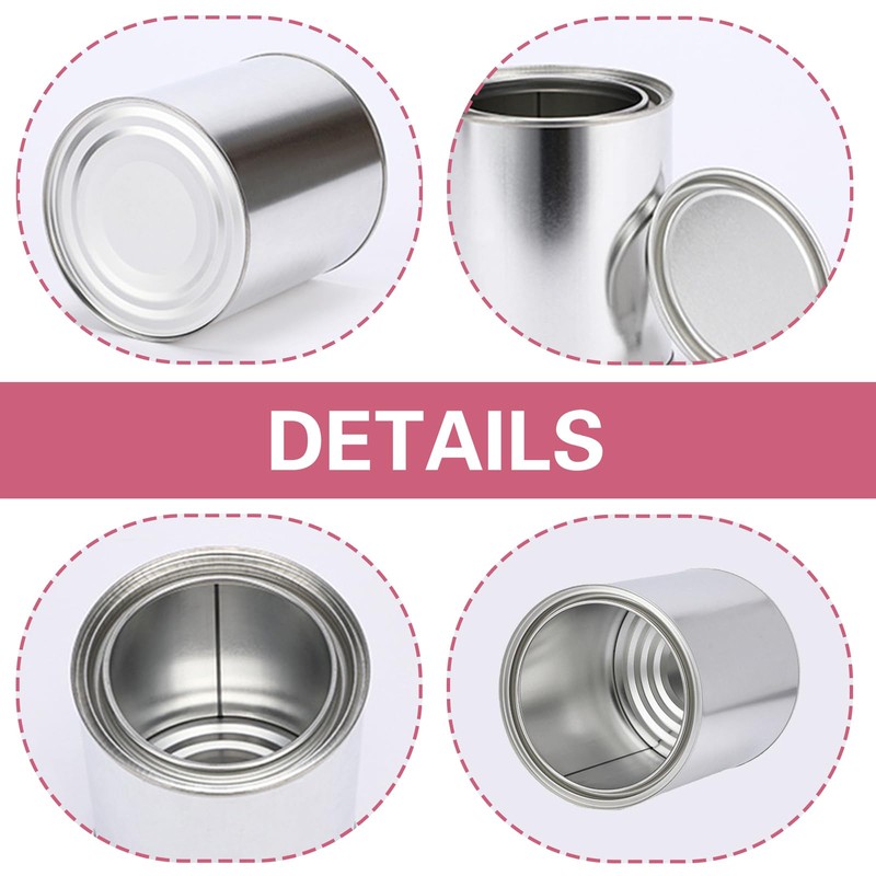 6PCS Metal Paint Cans with Lids Empty Paint Cans Unlined