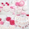 Pink baby shower decorations for Girl Coquette Pink Bow Baby
