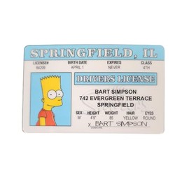 Signs 4 Fun Parody ID | Bart Driver’s License | Fake ID Novelty Card | Collectible Trading Card Driver’s License | Novelty Gift for Holidays | Made in the USA