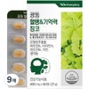 Guangdong Blood Circulation & Memory Ginkgo, 60 tablets, 9 ea / 광동 혈행&기억력 징코, 60정, 9개