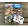 Prehistoric Teeth – Explore and Discover Activity Cards