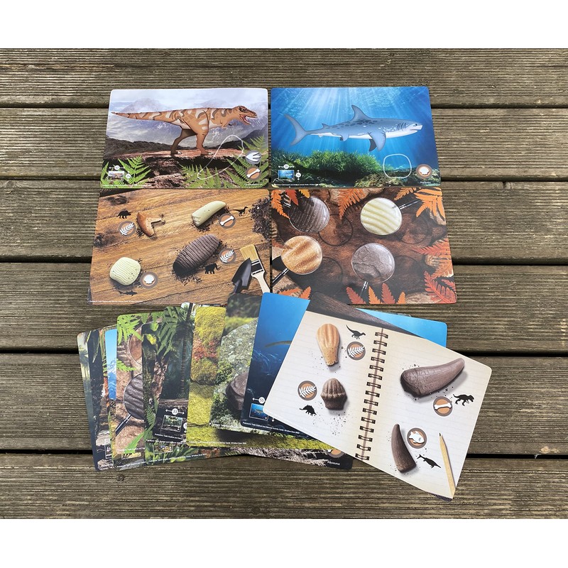 Prehistoric Teeth – Explore and Discover Activity Cards