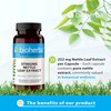 Stinging Nettle Leaf Extract 250 mg – 100 Capsules |