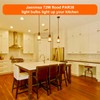72W Halogen PAR38 Floodlight Bulbs 4 Pack for Indoor Outdoor