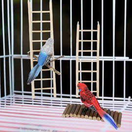 Seezengreen 4 Packs Bird Toys - Natural Wooden Parrot Perch Stand, Platform Hammock Swing, ladders - for Macaws, Small Parakeets, Conures, Budgies, Finches