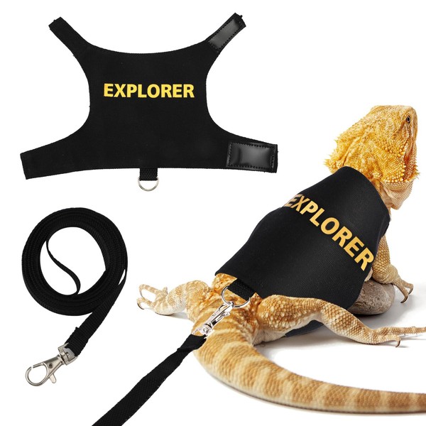 Bearded Dragon Leash and Harness Set, Escape Prevention Bearded Dragon