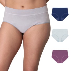 Playtex Women's Hipster Pack, Plus-Size Underwear Available, Tummy Smoothing, Moisture-Wicking, 3-Pack, Sail Away Navy/New Rain Cloud Heather/Plum Dandy