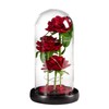 Glass Dome Rose Ornament LED Strip Light Blessing Romantic Glass