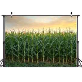 10X8ft Corn Stalks Photo Backdrop Photography Background, Green Outdoor Tall Fake Cornfield Maize Countryside Harvest Farm Party Backdrops Photo Booth Prop Decorations Wall Decor Tablecloth
