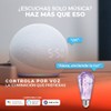 Tecnolite Connect Foco Vintage LED Inteligente ST64 WiFi 4.5W -