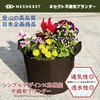 Nesekt Nonwoven Planter Cloth Pot, Home Garden, Vegetable Growing, 6