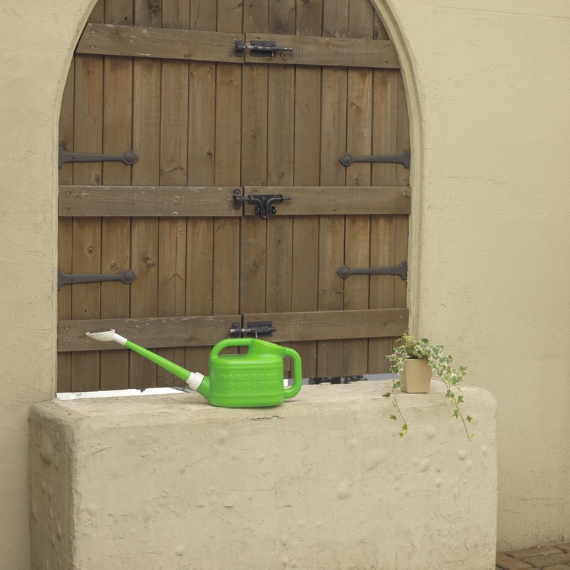 Dragonfly Watering Jug 2 Notebook