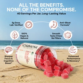 Creatine Monohydrate Gummies 5g - Watermelon Flavored Creatine for Women and Men - Supplement Supports Muscle Gain, Energy, Pre and Post Workout, Focus & Cognition, Recovery (120 count, 40 servings)