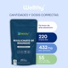 Wellthy Bisglicinato Magnesio 220 Cápsulas 432mg Elemental 100 Natural Alta